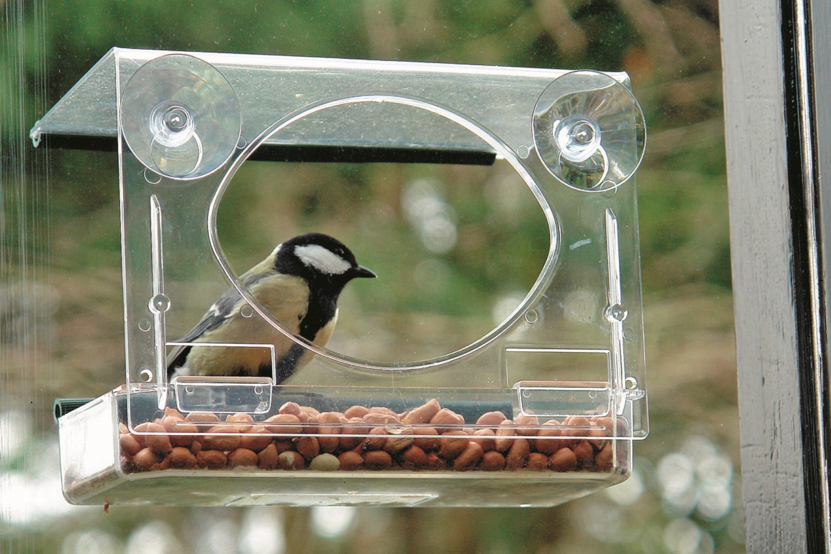 https://www.warentuin.nl/media/catalog/product/1/7/1775060024721416_bolmso_birdfeeder_vogelvoederhuisje_vogelvoederhuisje_bolmso_1_0f01.jpg