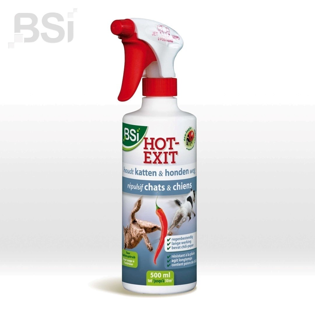 Hot exit 500 ml BSI