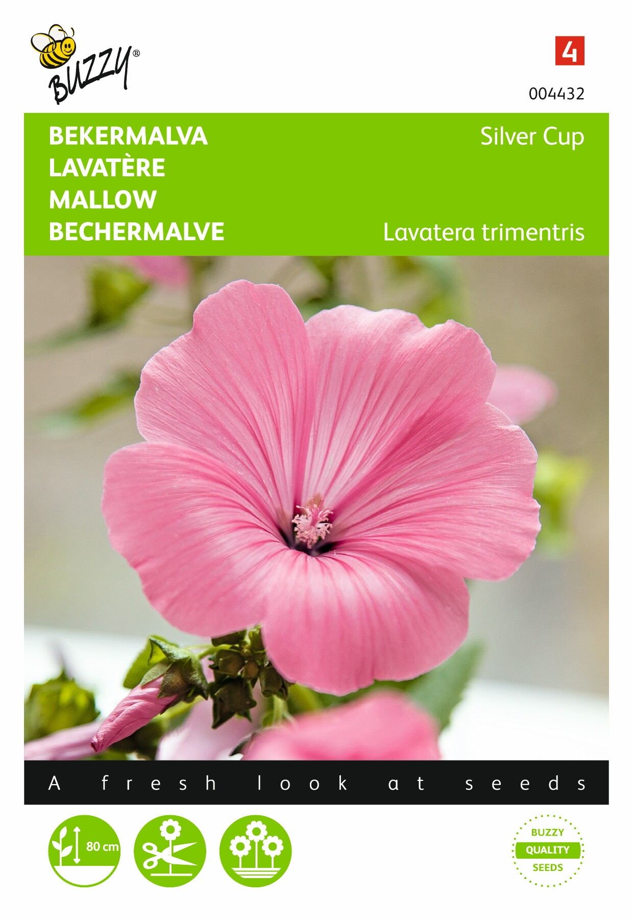 Bekermalva Silver Cup - Lavatera trimestris