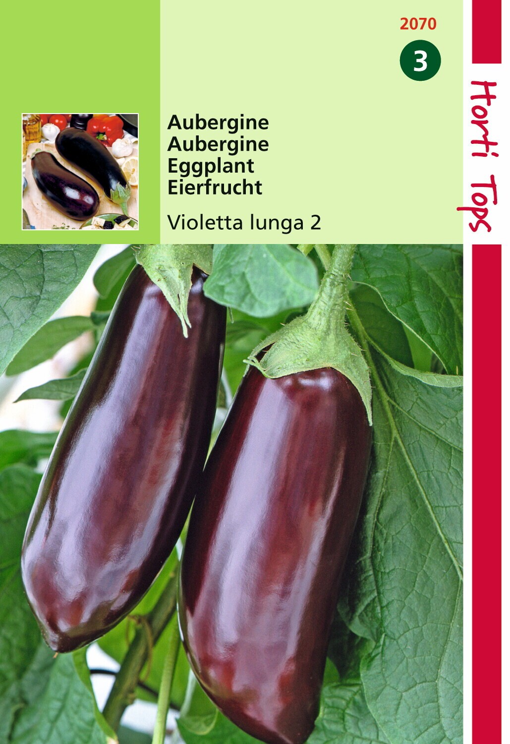 Hortitops Zaden - Aubergine Halflange Violette