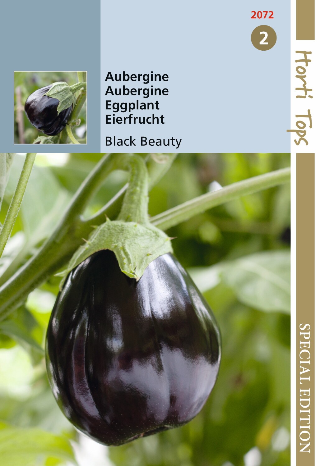 Hortitops zaden - Aubergine Black Beauty 1 gram