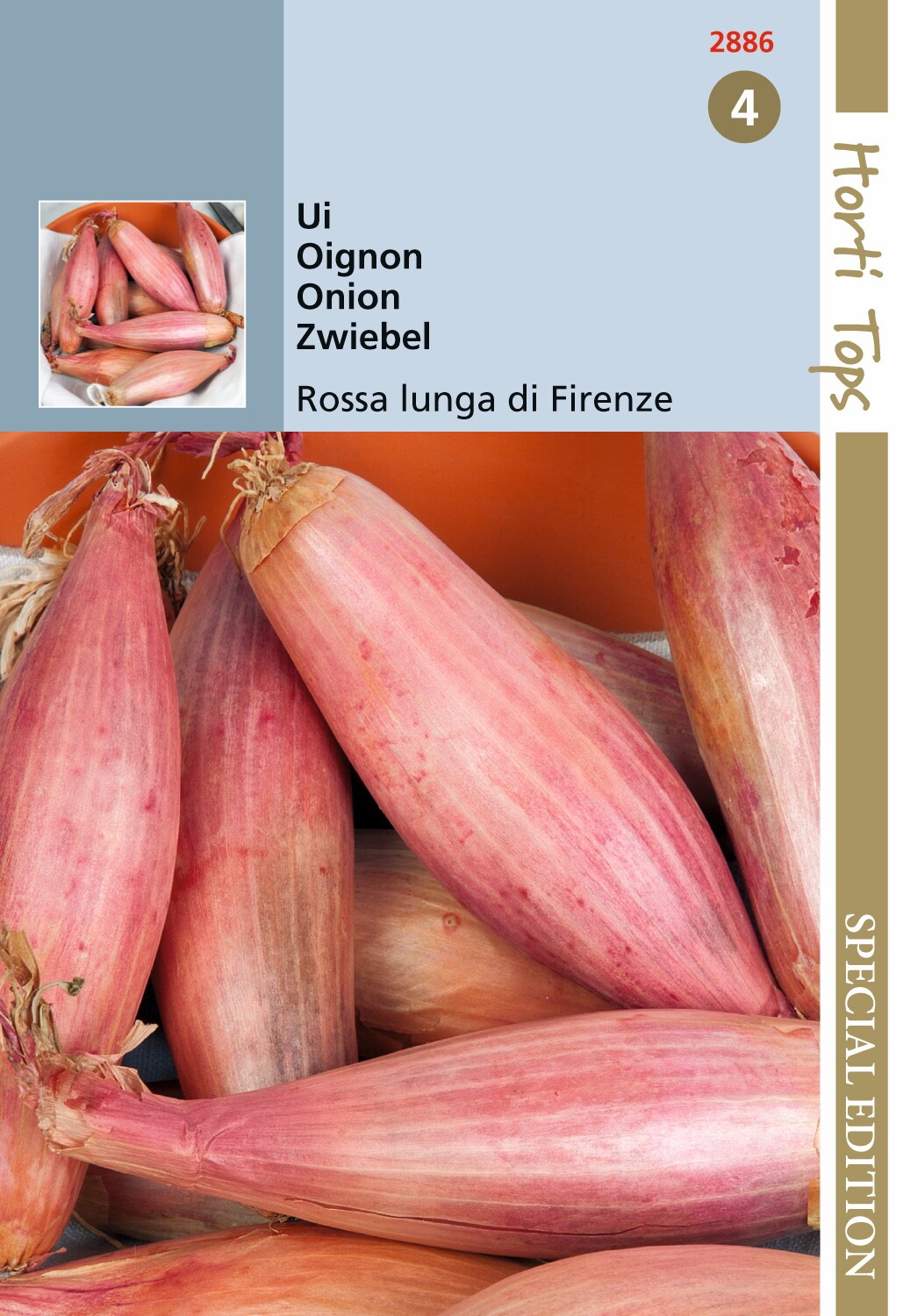 Hortitops zaden - Uien Rossa lunga di Firenze - Simiane 2 gram