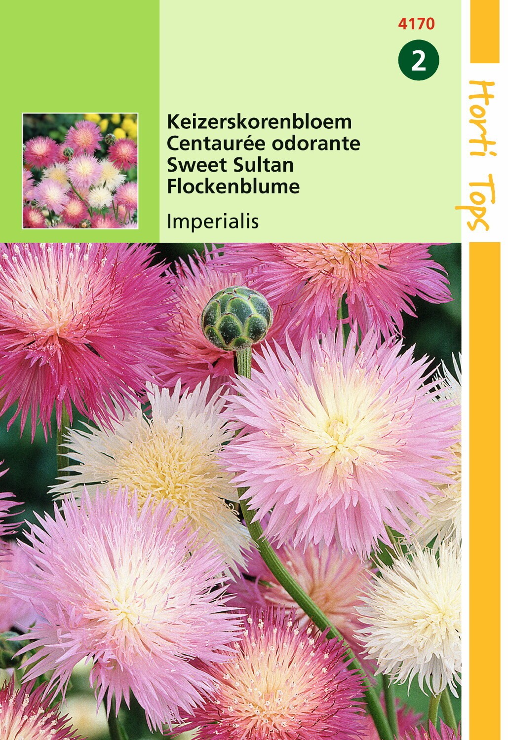 Hortitops Zaden - Centaurea Moschata Imperialis Gemengd