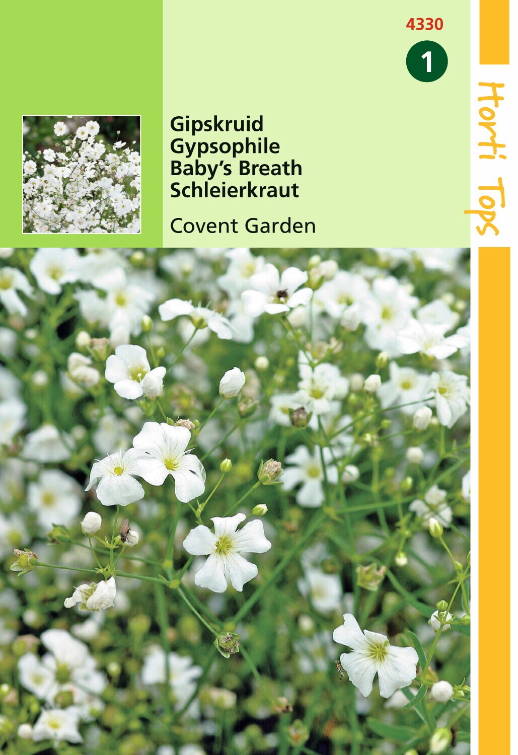 Hortitops Zaden - Gypsophila Elegans Covent Garden Wit