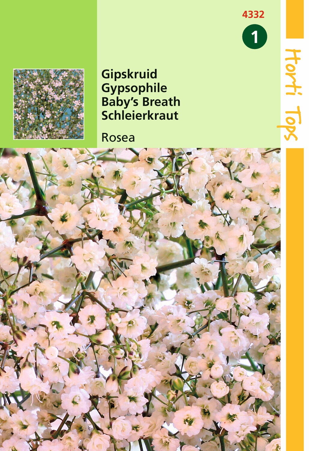 Hortitops Zaden - Gypsophila Elegans Diep Rose