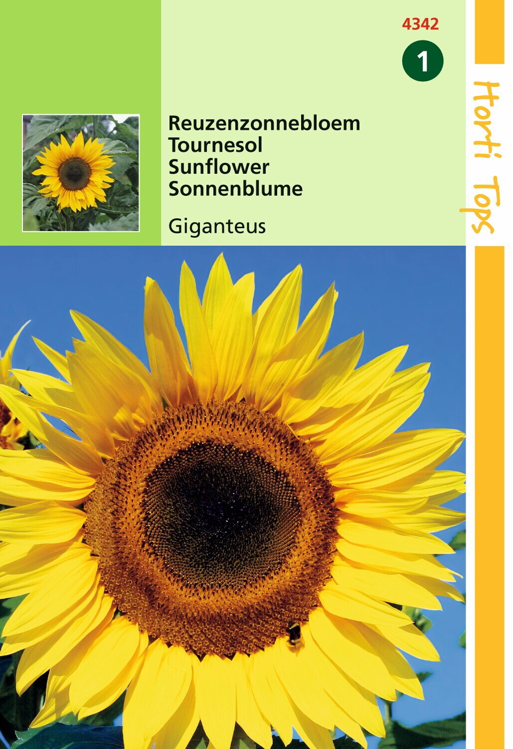 Hortitops Zonnebloemzaden - Helianthus annuus uniflorus giganteus