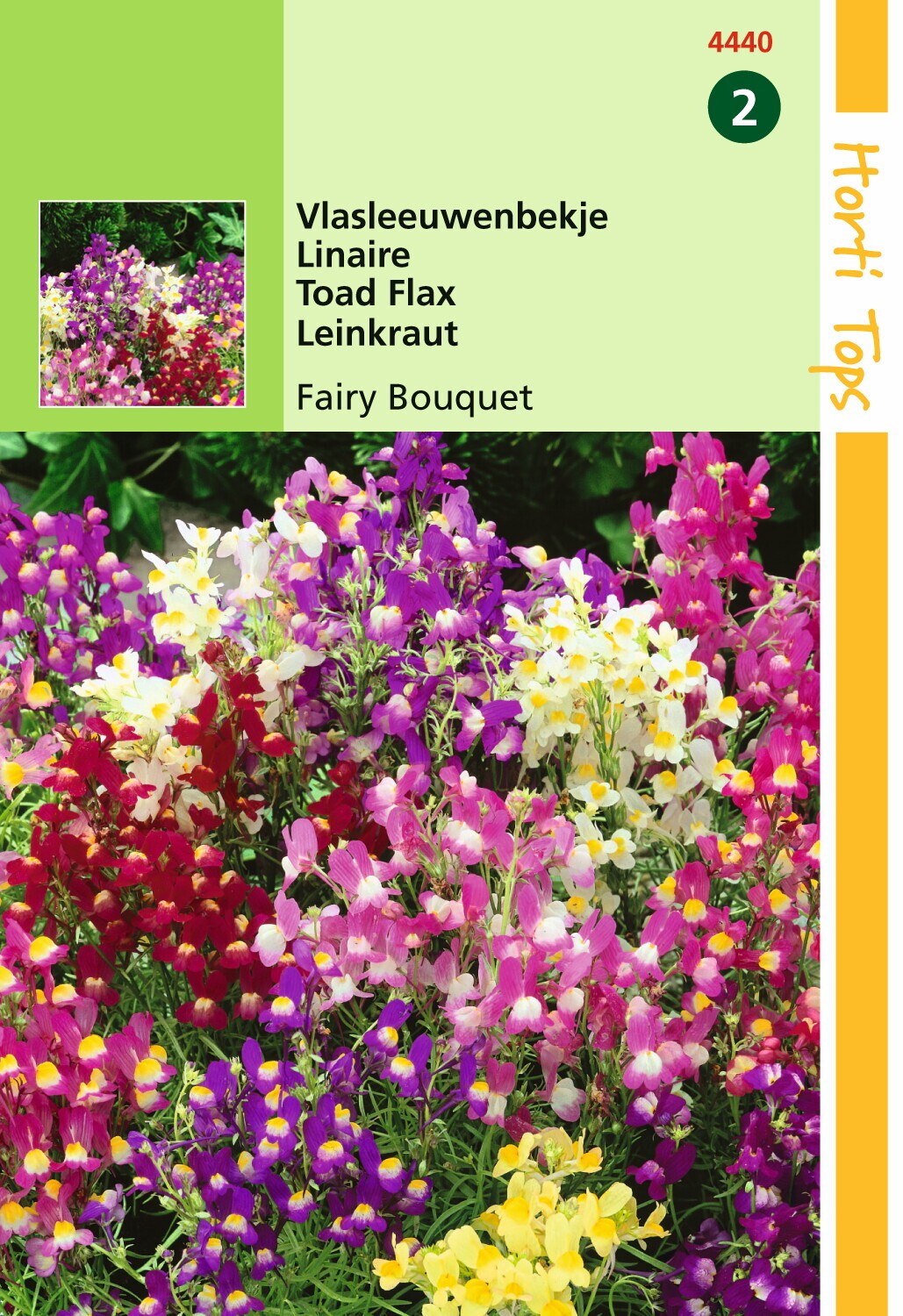 Hortitops Zaden - Linaria Maroccana Fairy Bouquet Gem.