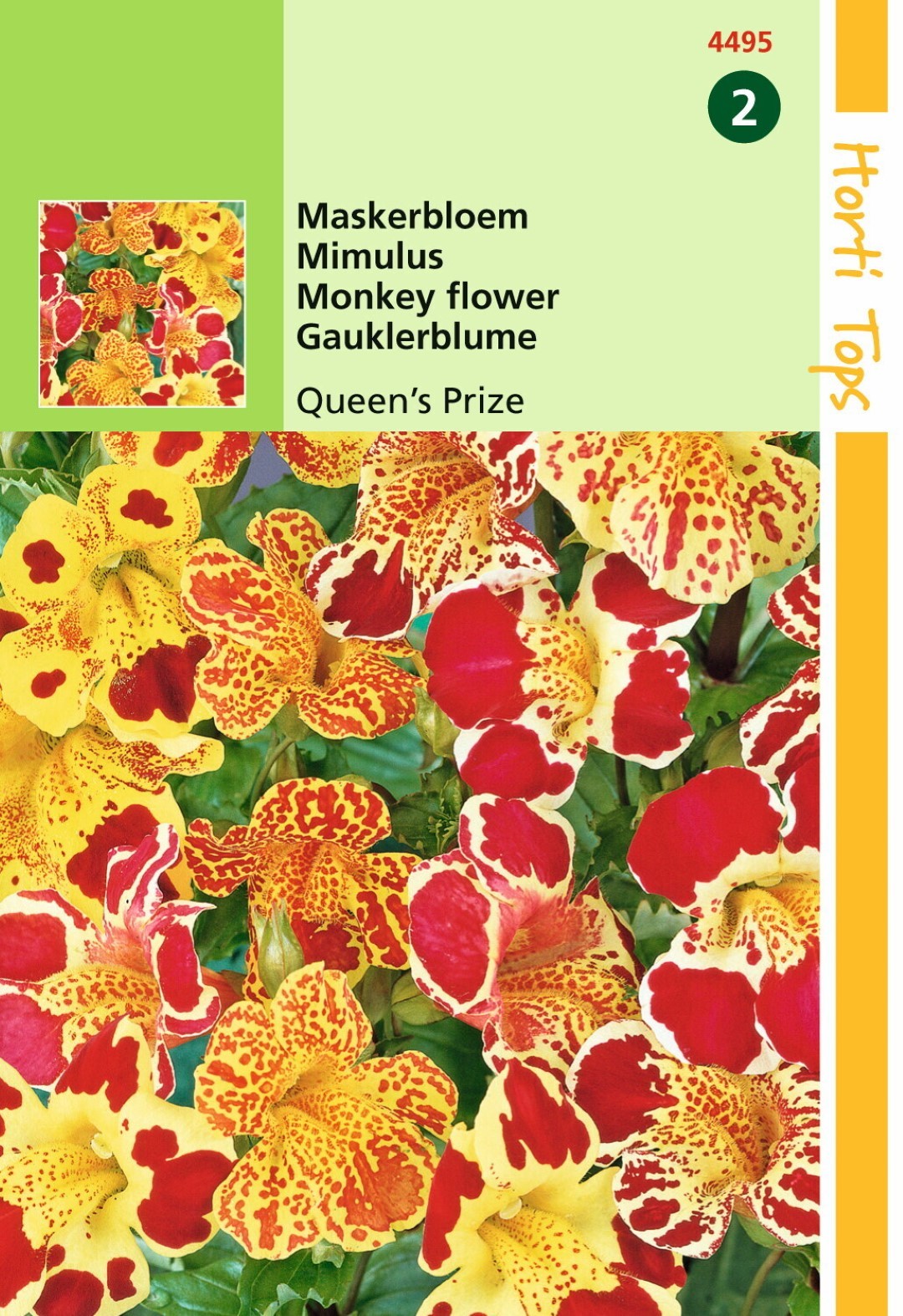 Hortitops Zaden - Mimulus Cupr. Queen's Prize