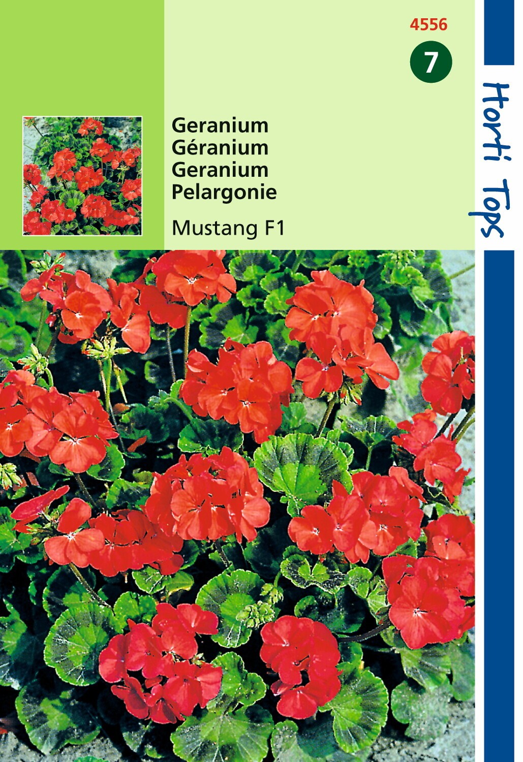 Hortitops zaden - Geranium Bloemzaad - Mustang - Kersrood