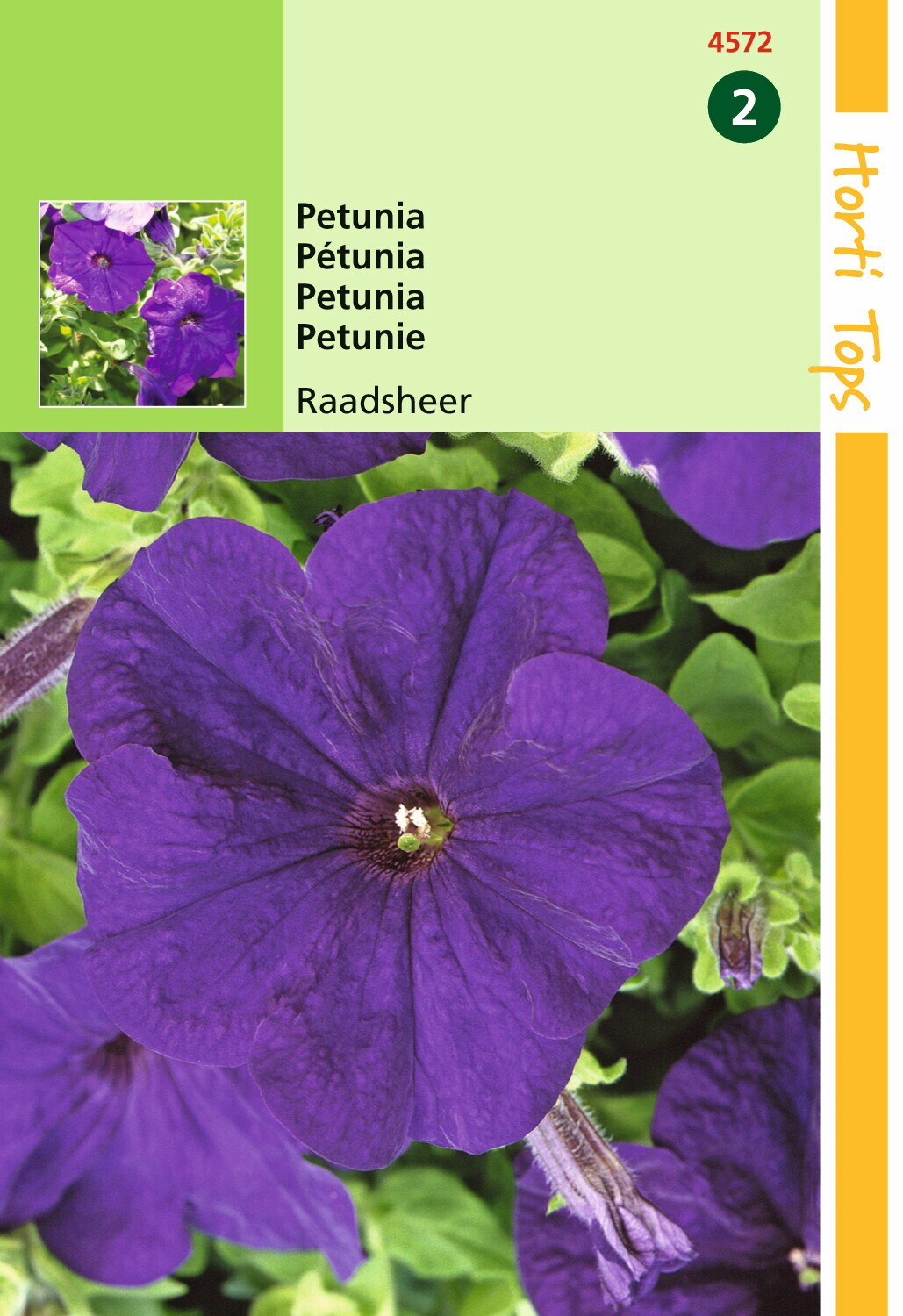Hortitops - Petunia Hybride Bloemzaad - Raadsheer