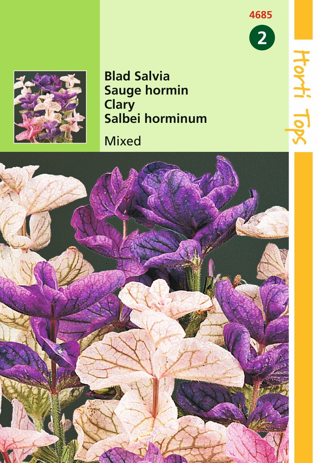 Hortitops Zaden - Salvia Horminum Tricolor Gemengd