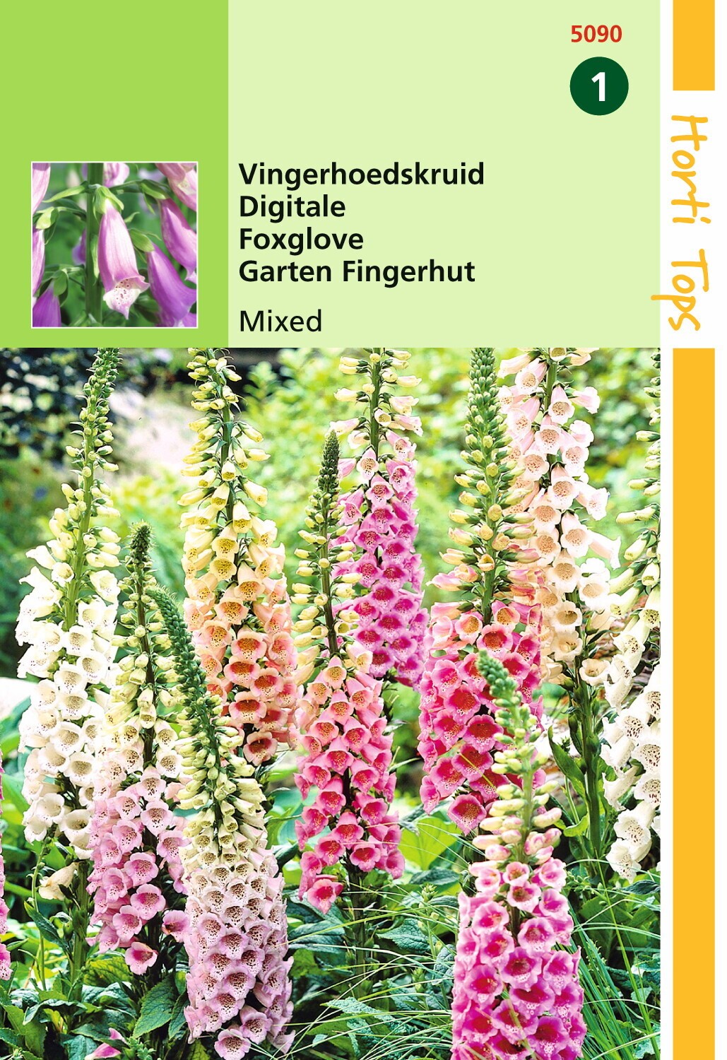 Vingerhoedskruid Bloemzaad - Digitalis Purpurea - Gemengd