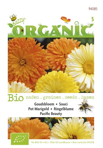 Buzzy® Organic Goudsbloem Pacific Beauty (BIO)