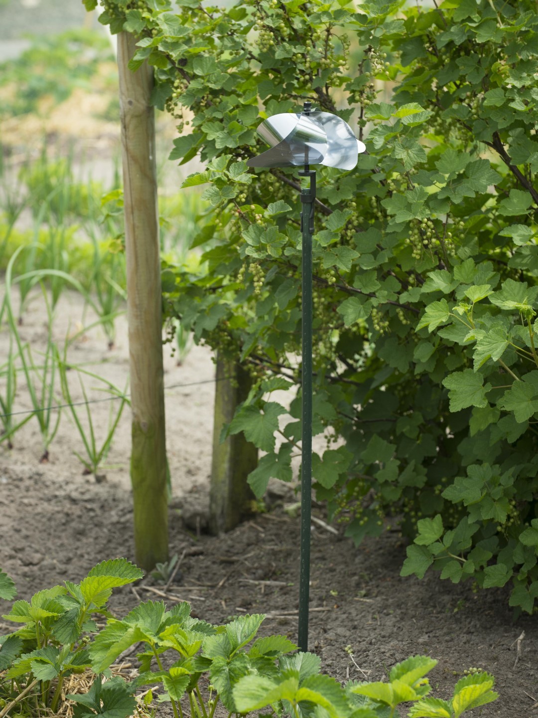 https://www.warentuin.nl/media/catalog/product/1/7/1778711338601440_nature_vogelschrikker_nature_vogelschrikker_molen_fd3d.jpg