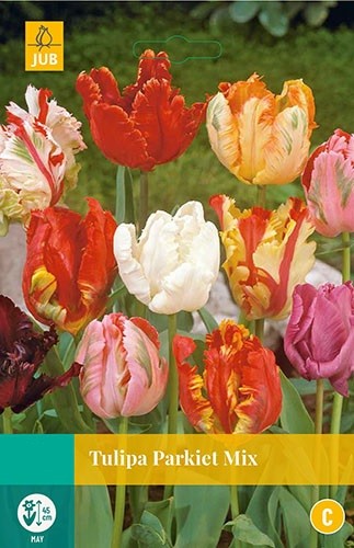 Tulipa Parkiet mix 5 bollen JUB