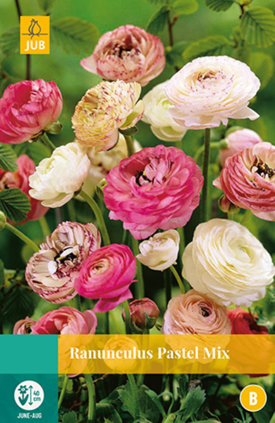 Ranunculus Pastel Mix 7 bollen JUB