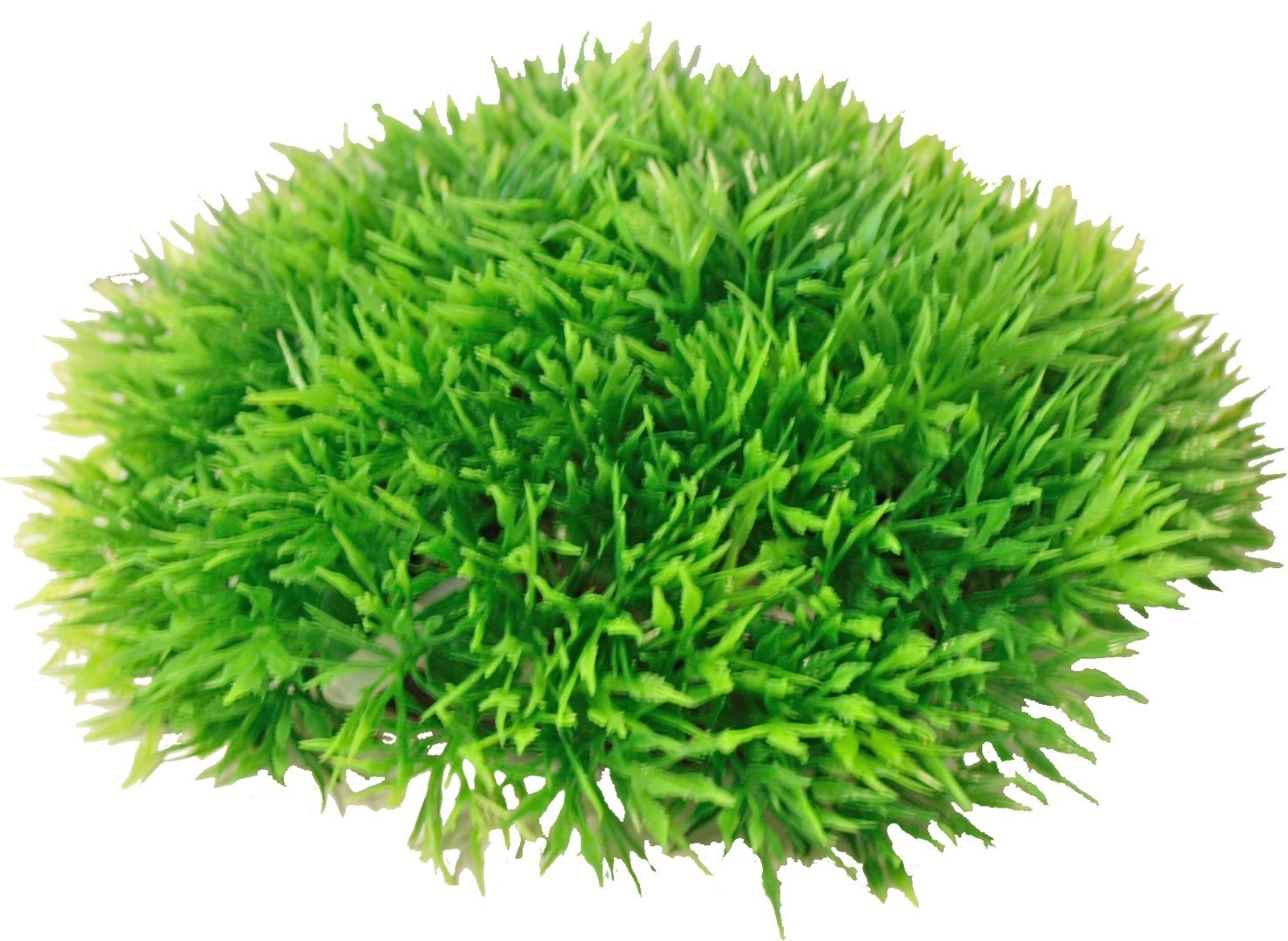 Kunstplant Plastic Green Moss - met uitstromer - Afmetingen: 14x6 cm
