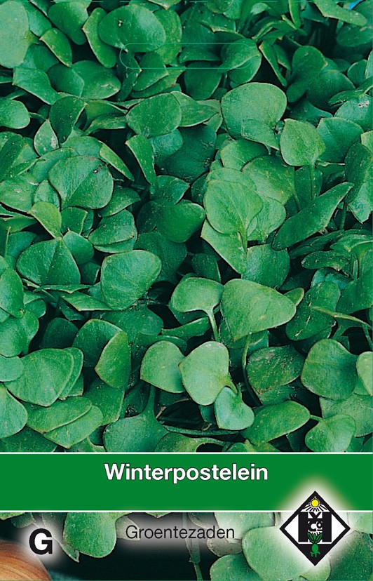 Van Hemert & Co Winterpostelein