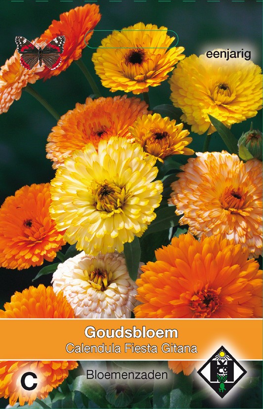 Calendula officinalis Fiesta Gitana