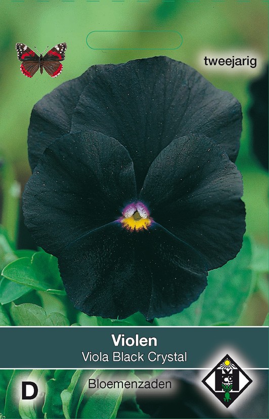 Van Hemert & Co - Viool Black Crystal (Viola x Wittrockiana)