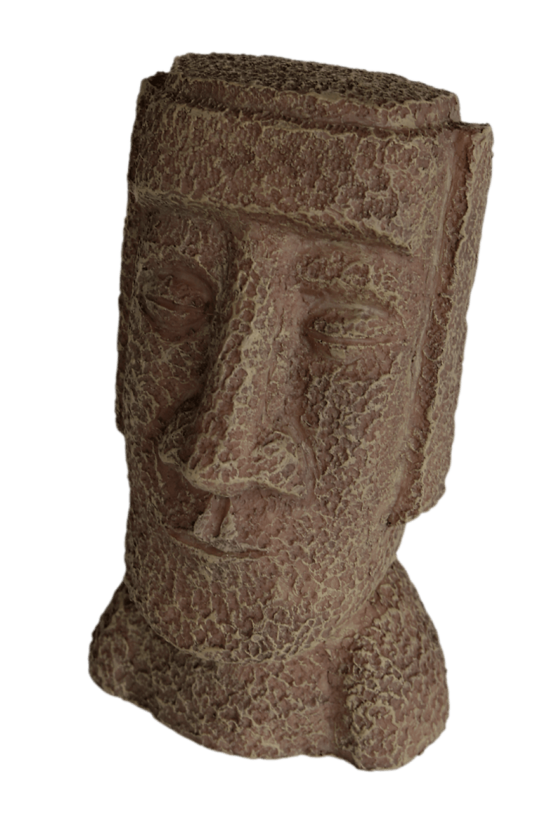 Superfish zen deco easter island