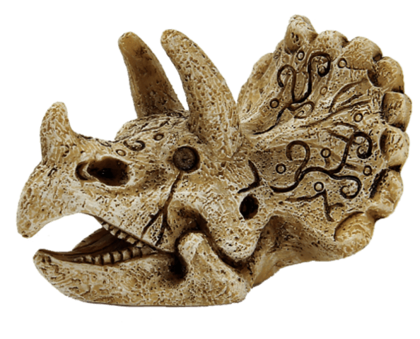Superfish skull triceratops s