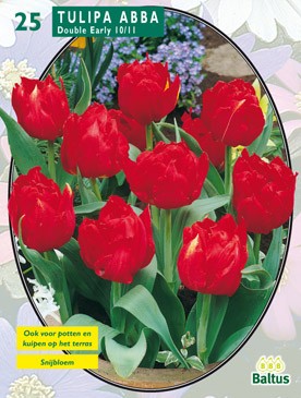 Baltus Tulipa Dubbel Vroeg Abba per 25 - 