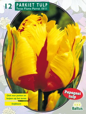 https://www.warentuin.nl/media/catalog/product/1/7/1778717154004885_baltus_bollen_tulipa_cfc7.jpg