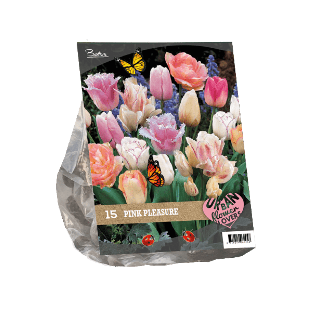 Urban Flowers Pink pleasure per 15 Baltus