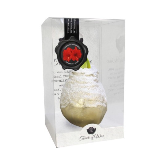 Bloembol Rode Amaryllis Wax kaarsvet Snow Goud cadeauverpakking 'Plastic' Kebol - Warentuin Natuurlijk