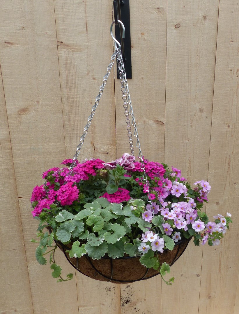 Hanging basket zomerbloeiers roze h25 cm