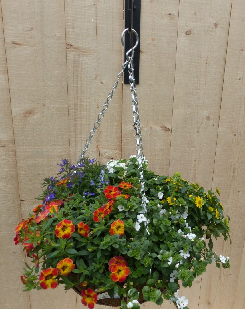 Hanging basket zomerbloeiers kleurenmix h25 cm
