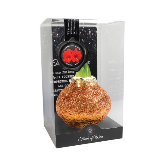 Luxe Bloembol Rode Amaryllis Wax kaarsvet Glitter Oranje cadeauverpakking 'Plastic' Kebol - Warentuin Natuurlijk