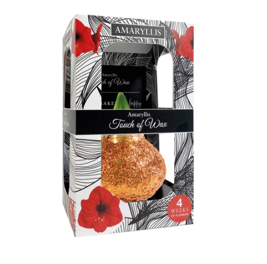 Luxe Bloembol Rode Amaryllis Wax kaarsvet Glitter Oranje cadeauverpakking 'Zwart Karton' Kebol - Warentuin Natuurlijk