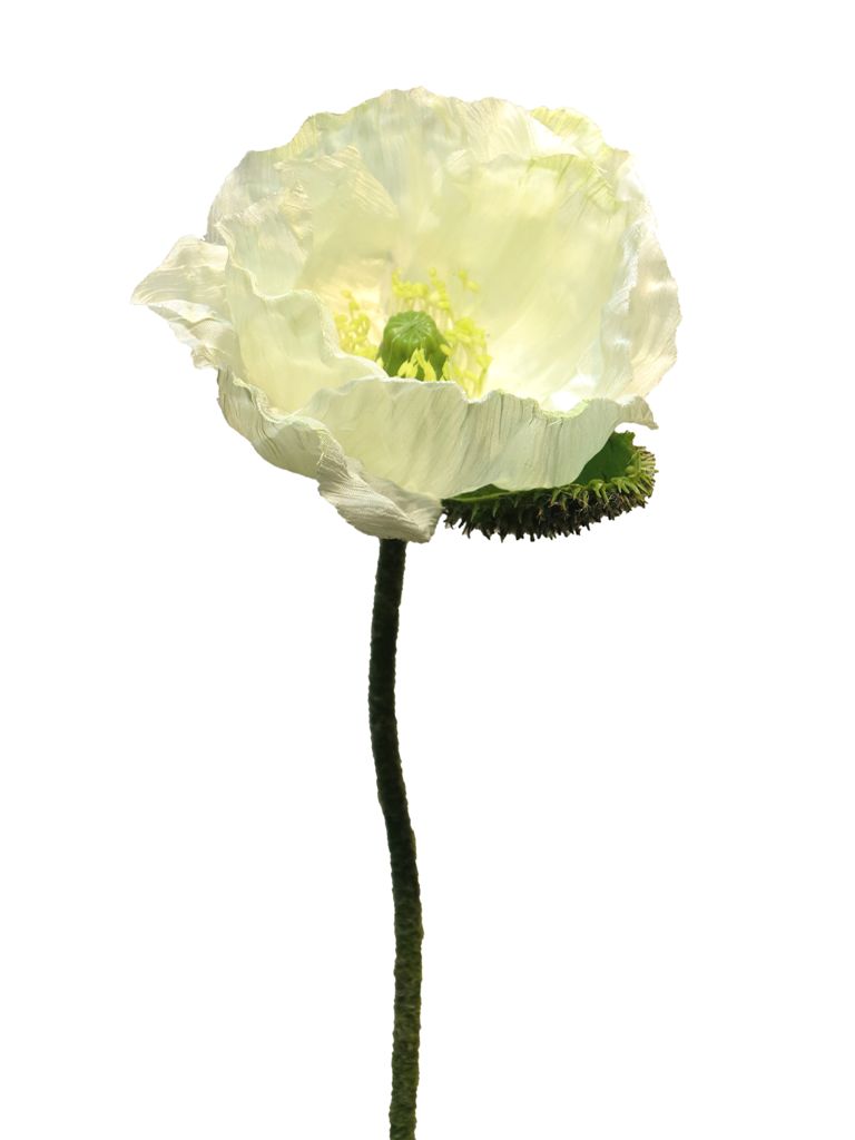 Papaver Nudicaule cream open flower 70 cm kunstbloemen