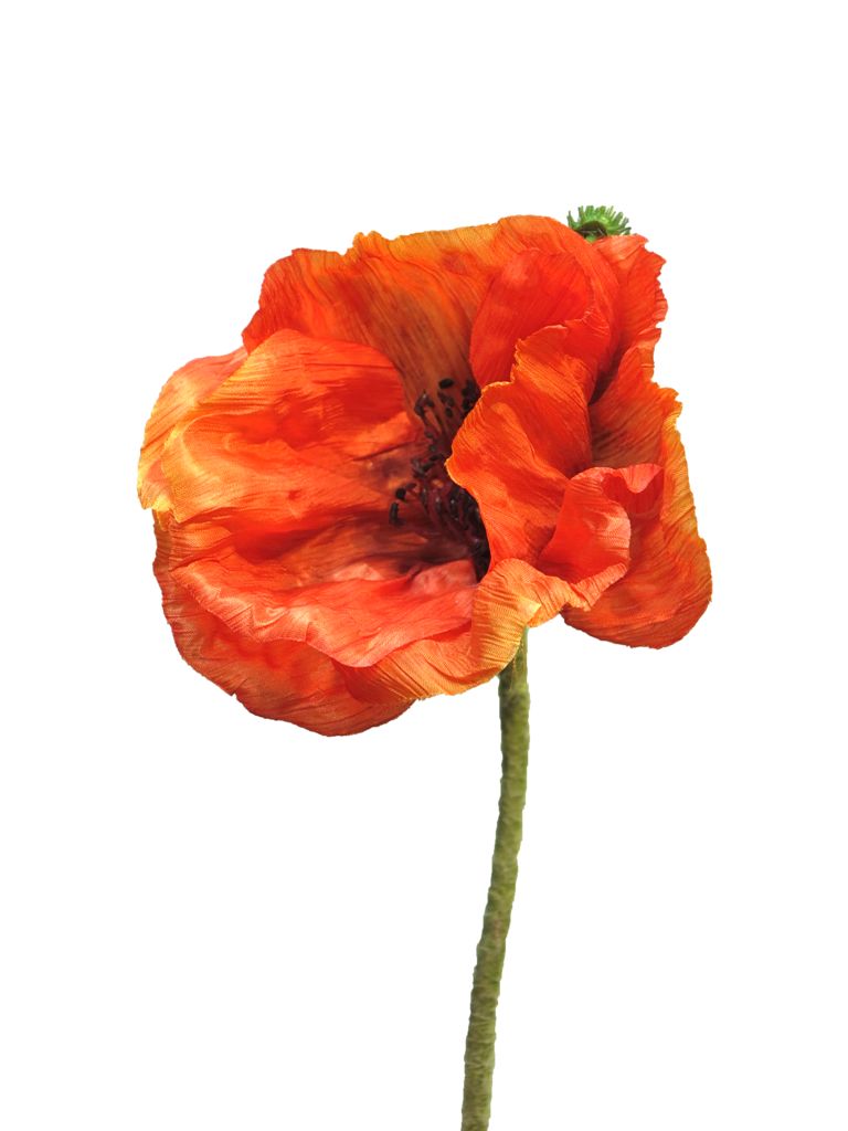 Papaver Nudicaule orange open flower 70 cm kunstbloemen