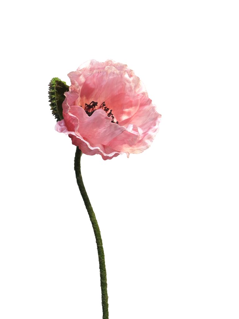 Papaver Nudicaule pink open flower 70 cm kunstbloemen