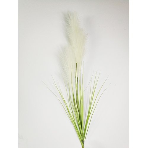 Pampas gras 80cm met blad creme