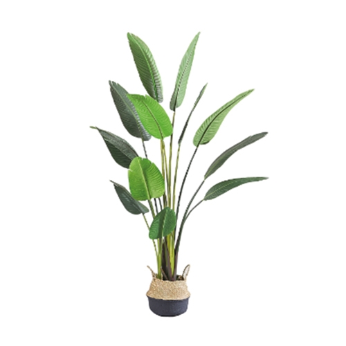 Kunstplant blad Strelitzia soft 80 cm - Buitengewoon de Boet