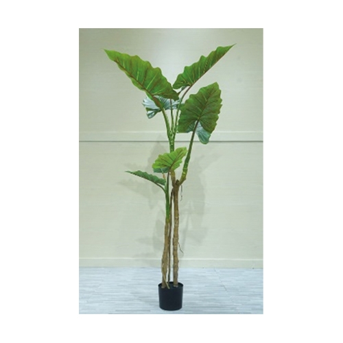 Kunstplant Alocasia op stam 180 cm - Buitengewoon de Boet