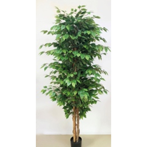 Kunstplant Ficus Benjamina 180 cm - Buitengewoon de Boet