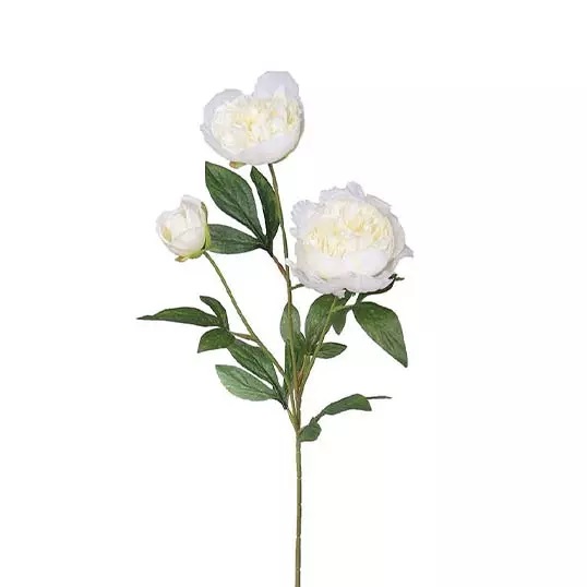 Pioenroos Tak Cream 67 cm kunstplant