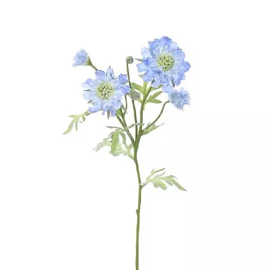 https://www.warentuin.nl/media/catalog/product/S/C/SCAN2500000241321_buitengewoon_boet_kunstplant_scabiosa_tak_blauw_60_cm_kunstpl_50a1.jpg