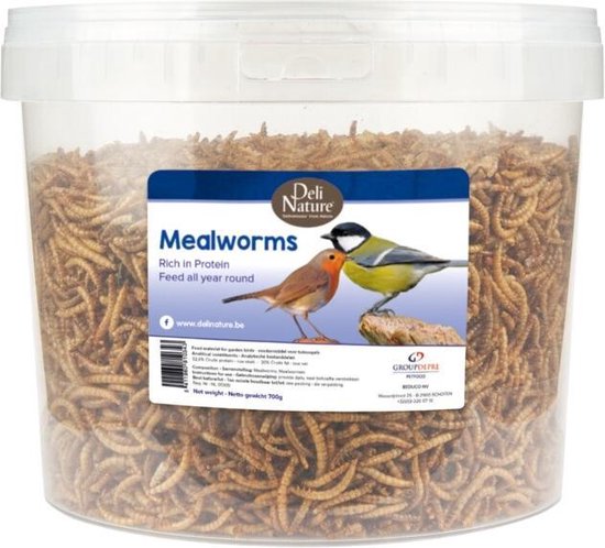 https://www.warentuin.nl/media/catalog/product/S/C/SCAN5411860810343meelwormen_700g_8d5e.jpg