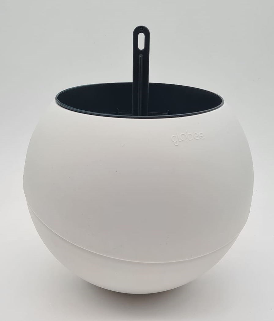 Globee in box white Bloempot