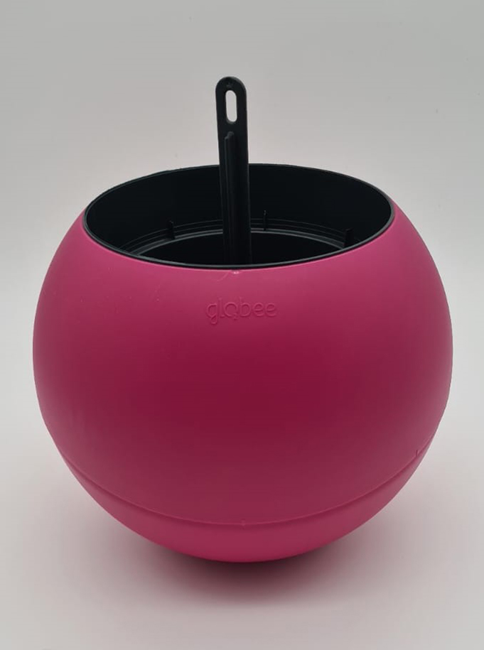 Globee in box pink Bloempot