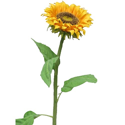 https://www.warentuin.nl/media/catalog/product/S/C/SCAN705458485323_nova_nature_kunstbloemen_sunflower_tuscany_m_77_cm_kunstbloem_85b5.jpg