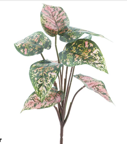 Nova Nature Dieffenbachia plant green/pink 32 cm - Nova Nature
