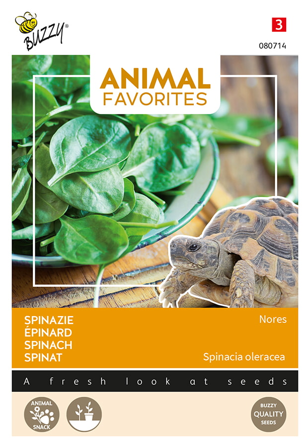 Animal favorites spinazie nores - schildpadden tuinzaden - Tuinplus