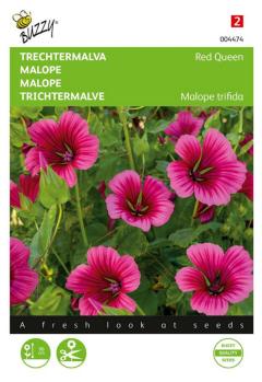 https://www.warentuin.nl/media/catalog/product/S/C/SCAN8711117044741_zaden_malope_trechtermalva_red_queen_1_5_gram_buzzy_seeds_54c7.jpg